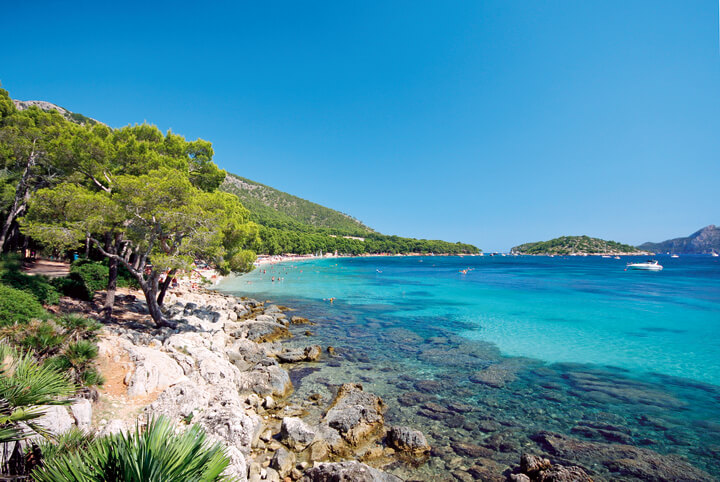 Mallorca Tour Experience